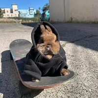 София